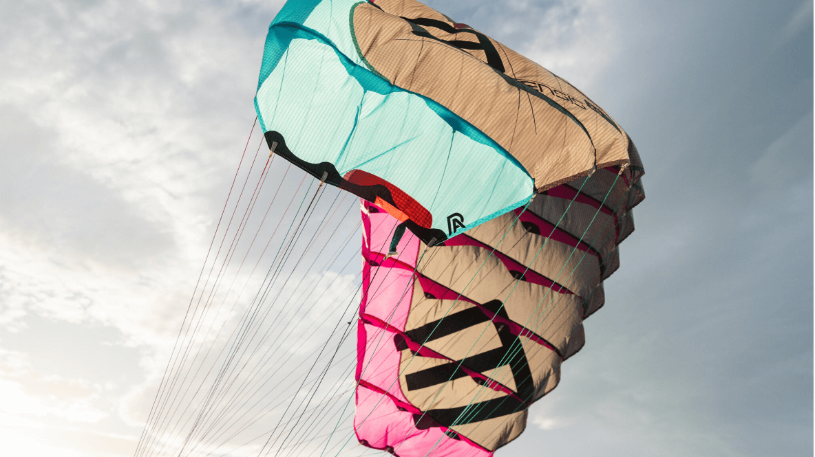 ENSIS ROGER - Parawing - Available now