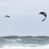 Cabrinha 04S Nitro Apex Kite C11