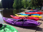Colorful kayaks lined up by the water, showcasing various vibrant colors, including yellow, orange, purple, and green.