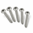 F-One Self Tapping Screw Set for Foilboard V-Strap | Replacement Hardware UK - close-up of five silver screws.